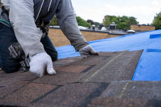 Best Shingle Roofing Installation  in Kinsley, KS